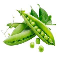 Green Peas (मटर)                    250gm