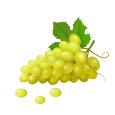Green Grapes              (हरे अंगूर) 250gm