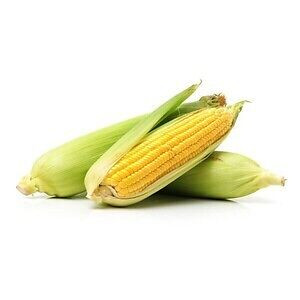Corn (मक्का)                  250gm