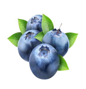 Blueberry(नीलबदरी)                          250gm