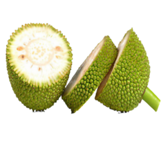 Jackfruit (कटहल)          250gm